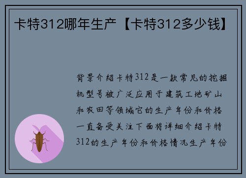 卡特312哪年生产【卡特312多少钱】