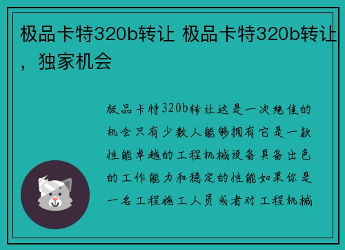 极品卡特320b转让 极品卡特320b转让，独家机会