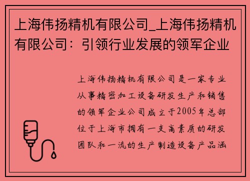 上海伟扬精机有限公司_上海伟扬精机有限公司：引领行业发展的领军企业”